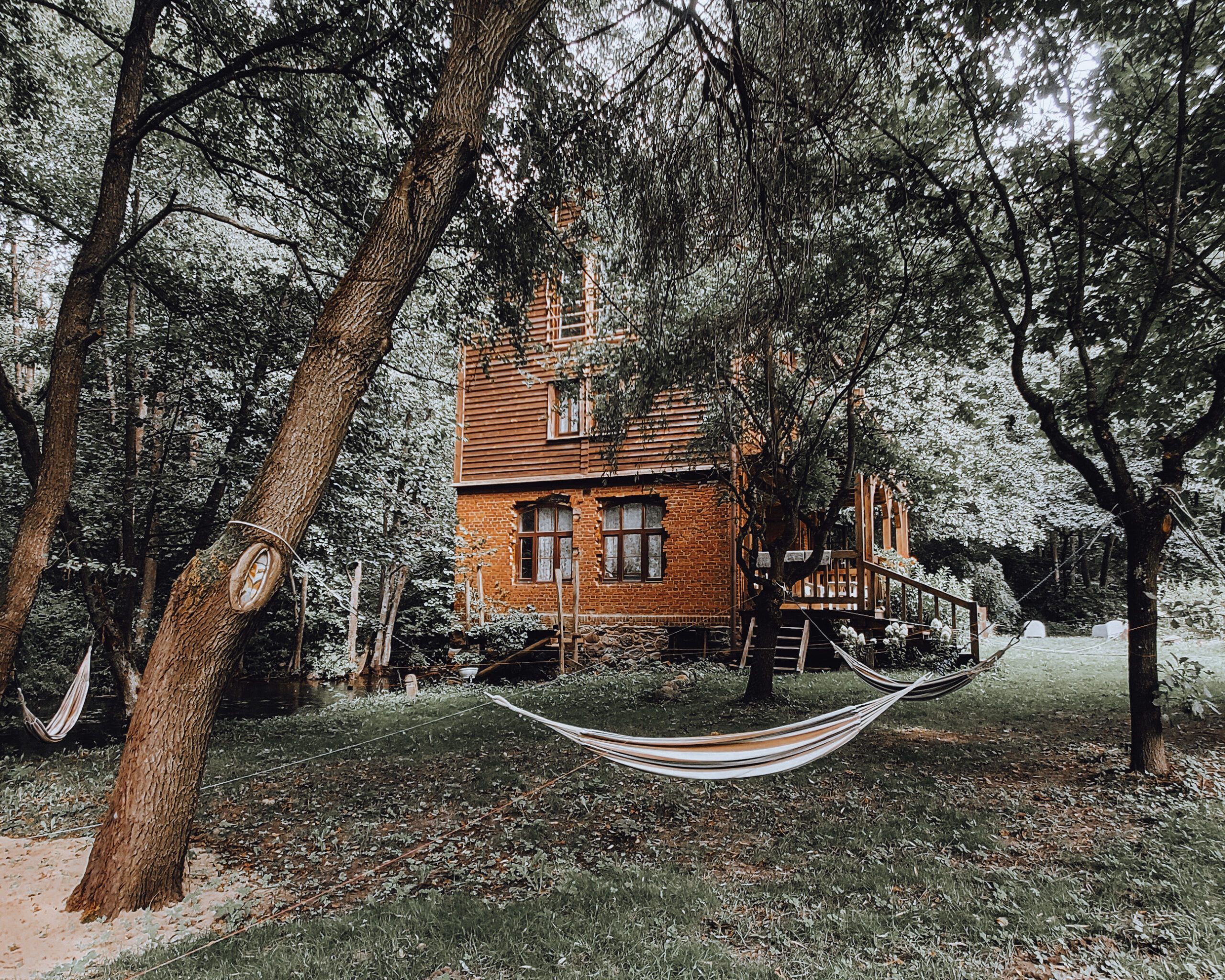 Koncepcja nie działania